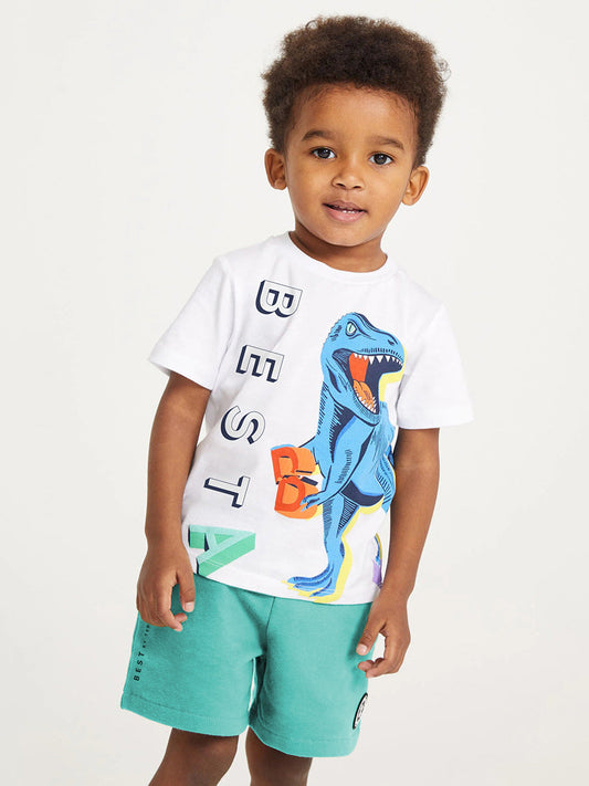 Summer Baby Kids Dinosaur Cartoon Pattern T-shirt and Shorts 2-Piece Clothing Set for Boys-0